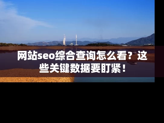 网站seo综合查询怎么看？这些关键数据要盯紧！