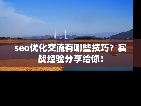 seo优化交流有哪些技巧？实战经验分享给你！