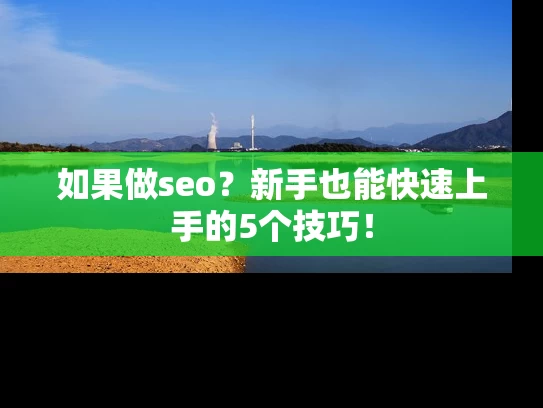 如果做seo？新手也能快速上手的5个技巧！