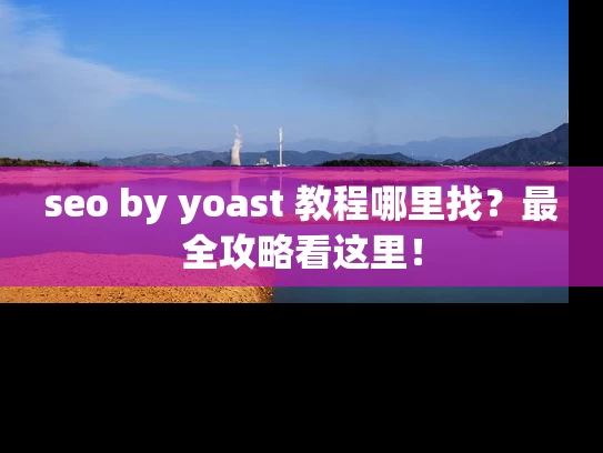 seo by yoast 教程哪里找？最全攻略看这里！
