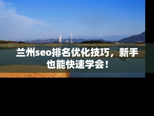 兰州seo排名优化技巧，新手也能快速学会！