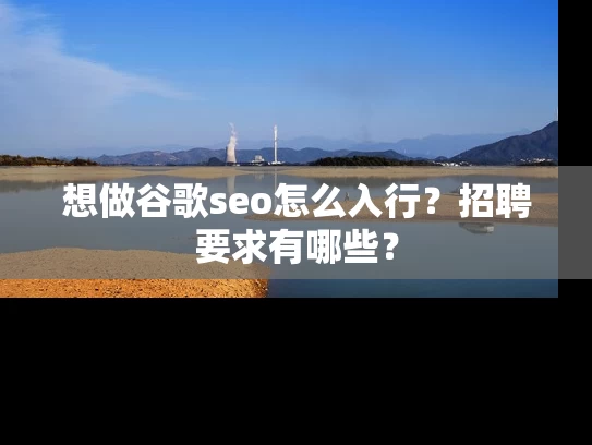 想做谷歌seo怎么入行？招聘要求有哪些？