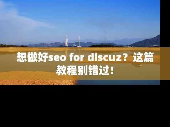 想做好seo for discuz？这篇教程别错过！