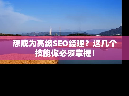 想成为高级SEO经理？这几个技能你必须掌握！