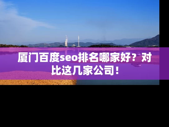 厦门百度seo排名哪家好？对比这几家公司！