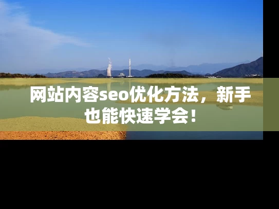 网站内容seo优化方法，新手也能快速学会！