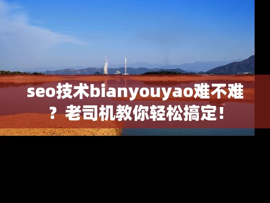 seo技术bianyouyao难不难？老司机教你轻松搞定！