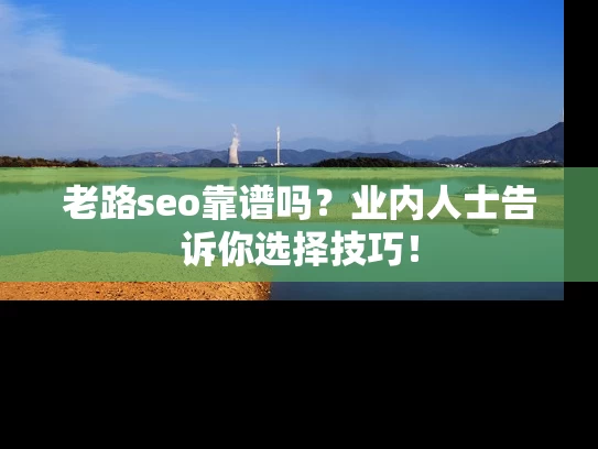老路seo靠谱吗？业内人士告诉你选择技巧！