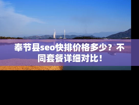 奉节县seo快排价格多少？不同套餐详细对比！