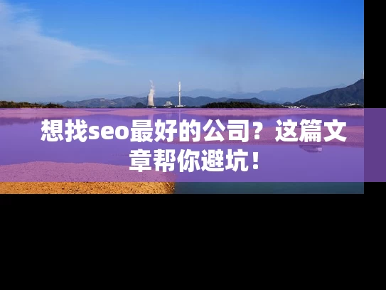 想找seo最好的公司？这篇文章帮你避坑！
