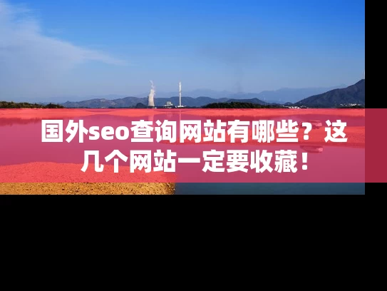 国外seo查询网站有哪些？这几个网站一定要收藏！