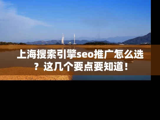 上海搜索引擎seo推广怎么选？这几个要点要知道！