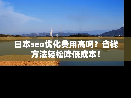 日本seo优化费用高吗？省钱方法轻松降低成本！