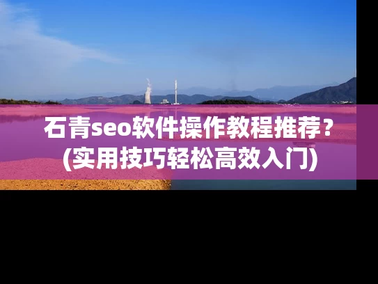 石青seo软件操作教程推荐？(实用技巧轻松高效入门)