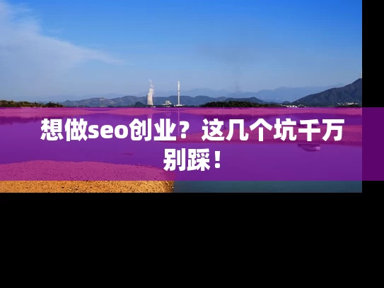 想做seo创业？这几个坑千万别踩！