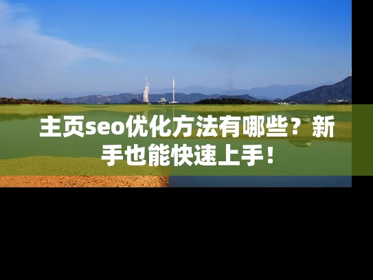 主页seo优化方法有哪些？新手也能快速上手！
