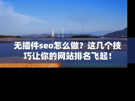 无插件seo怎么做？这几个技巧让你的网站排名飞起！