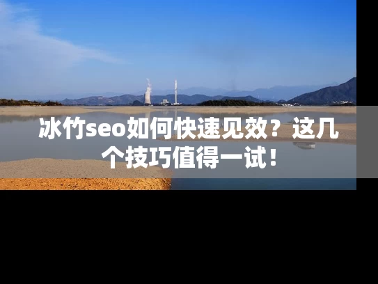 冰竹seo如何快速见效？这几个技巧值得一试！