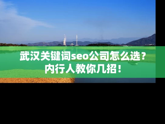 武汉关键词seo公司怎么选？内行人教你几招！