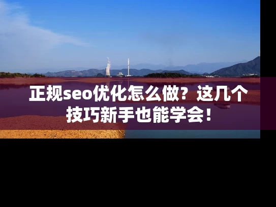正规seo优化怎么做？这几个技巧新手也能学会！