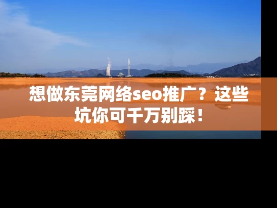 想做东莞网络seo推广？这些坑你可千万别踩！