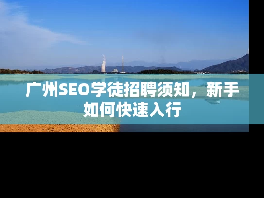 广州SEO学徒招聘须知，新手如何快速入行