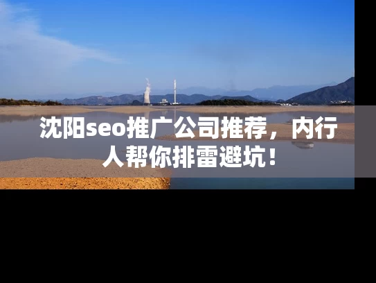 沈阳seo推广公司推荐，内行人帮你排雷避坑！