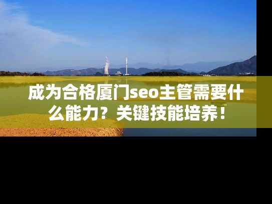 成为合格厦门seo主管需要什么能力？关键技能培养！