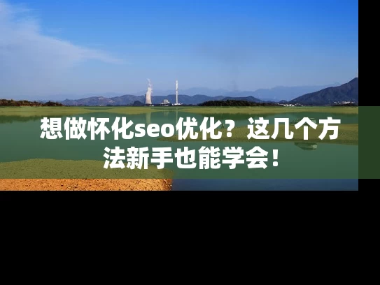 想做怀化seo优化？这几个方法新手也能学会！