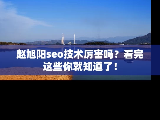 赵旭阳seo技术厉害吗？看完这些你就知道了！
