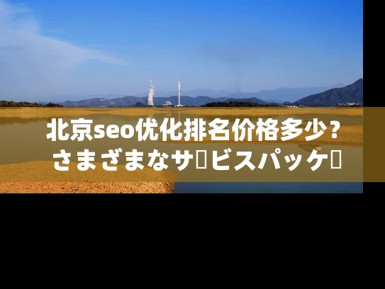 北京seo优化排名价格多少？ さまざまなサービスパッケージを比較してください！