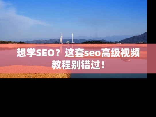 想学SEO？这套seo高级视频教程别错过！