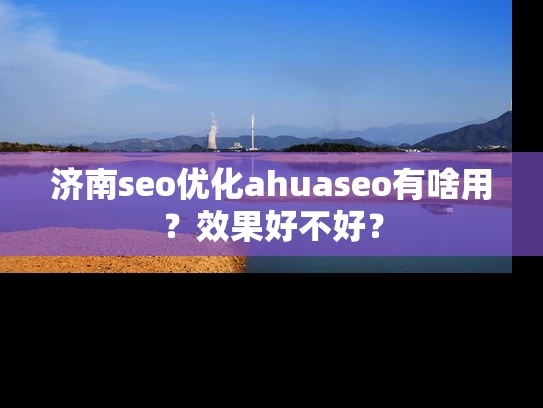 济南seo优化ahuaseo有啥用？效果好不好？