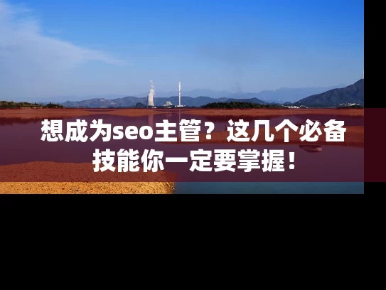 想成为seo主管？这几个必备技能你一定要掌握！