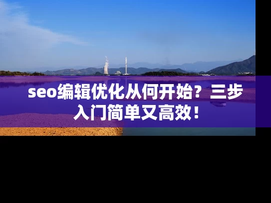 seo编辑优化从何开始？三步入门简单又高效！