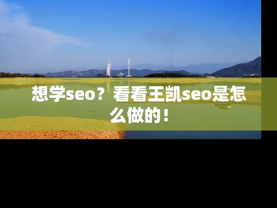 想学seo？看看王凯seo是怎么做的！