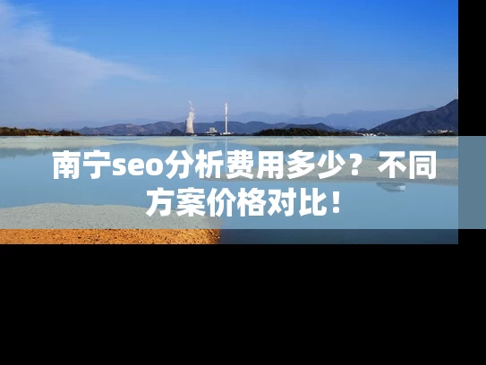 南宁seo分析费用多少？不同方案价格对比！
