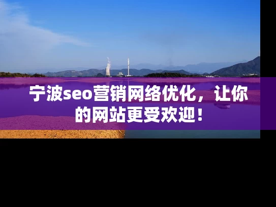 宁波seo营销网络优化，让你的网站更受欢迎！