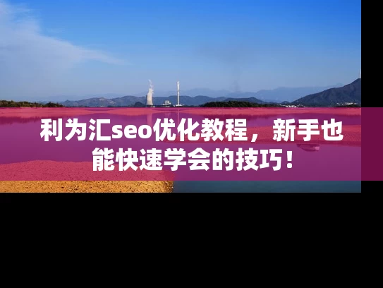 利为汇seo优化教程，新手也能快速学会的技巧！