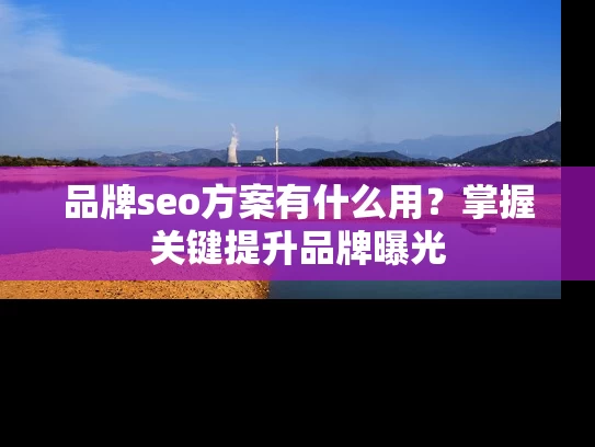 品牌seo方案有什么用？掌握关键提升品牌曝光