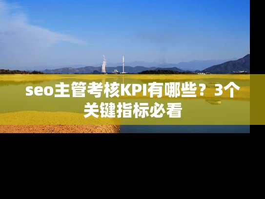 seo主管考核KPI有哪些？3个关键指标必看