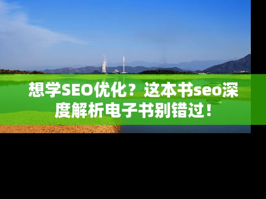 想学SEO优化？这本书seo深度解析电子书别错过！