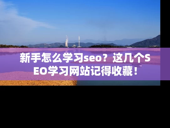 新手怎么学习seo？这几个SEO学习网站记得收藏！