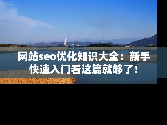 网站seo优化知识大全：新手快速入门看这篇就够了！