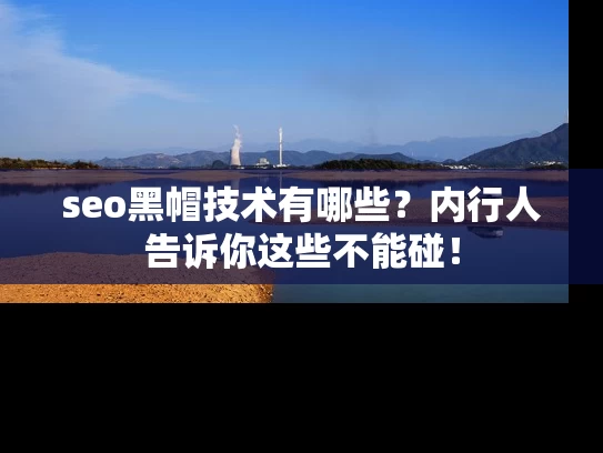 seo黑帽技术有哪些？内行人告诉你这些不能碰！