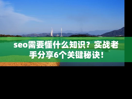 seo需要懂什么知识？实战老手分享6个关键秘诀！