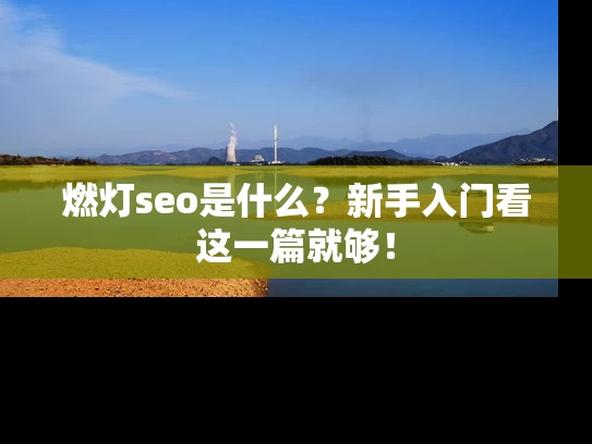 燃灯seo是什么？新手入门看这一篇就够！