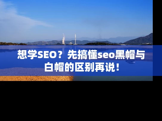 想学SEO？先搞懂seo黑帽与白帽的区别再说！