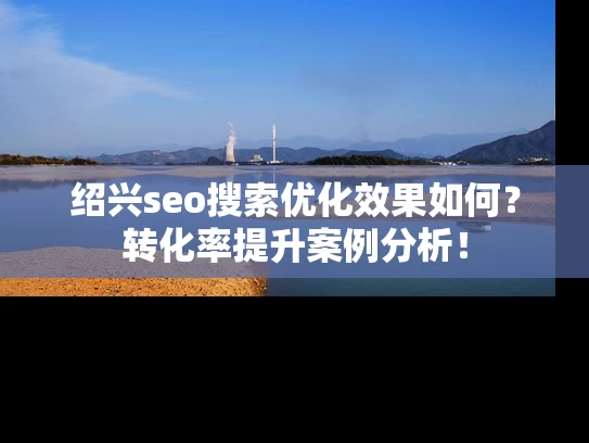 绍兴seo搜索优化效果如何？转化率提升案例分析！