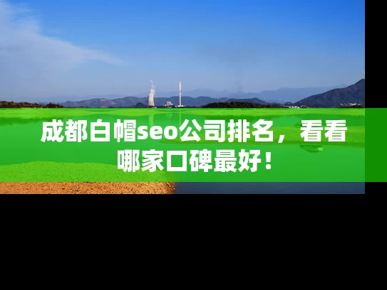 成都白帽seo公司排名，看看哪家口碑最好！
